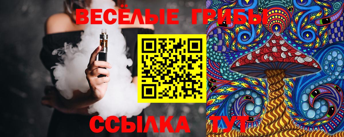 Псилоцибиновые грибы GOLDEN TEACHER Отрадный