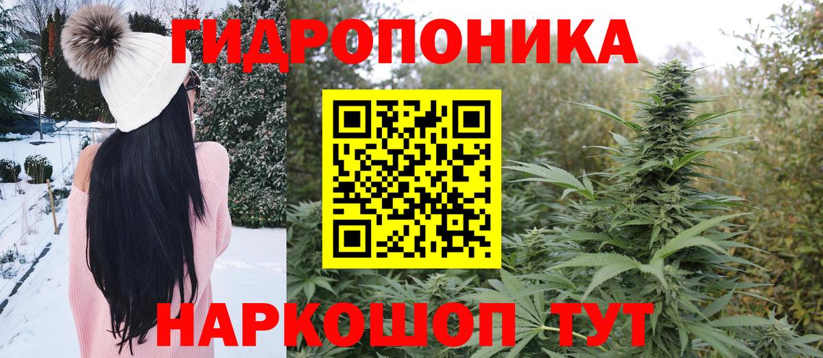Бошки Шишки MAZAR  МАРИХУАНА AK-47  Вход с VPN  Отрадный 